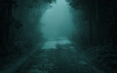 Extra Material – In a Dark, Dark Wood