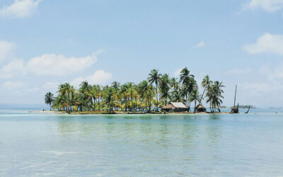 Five books set on an island